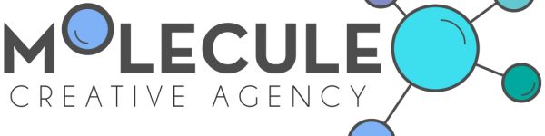 Long-Logo---grey-text-coloured-spheres